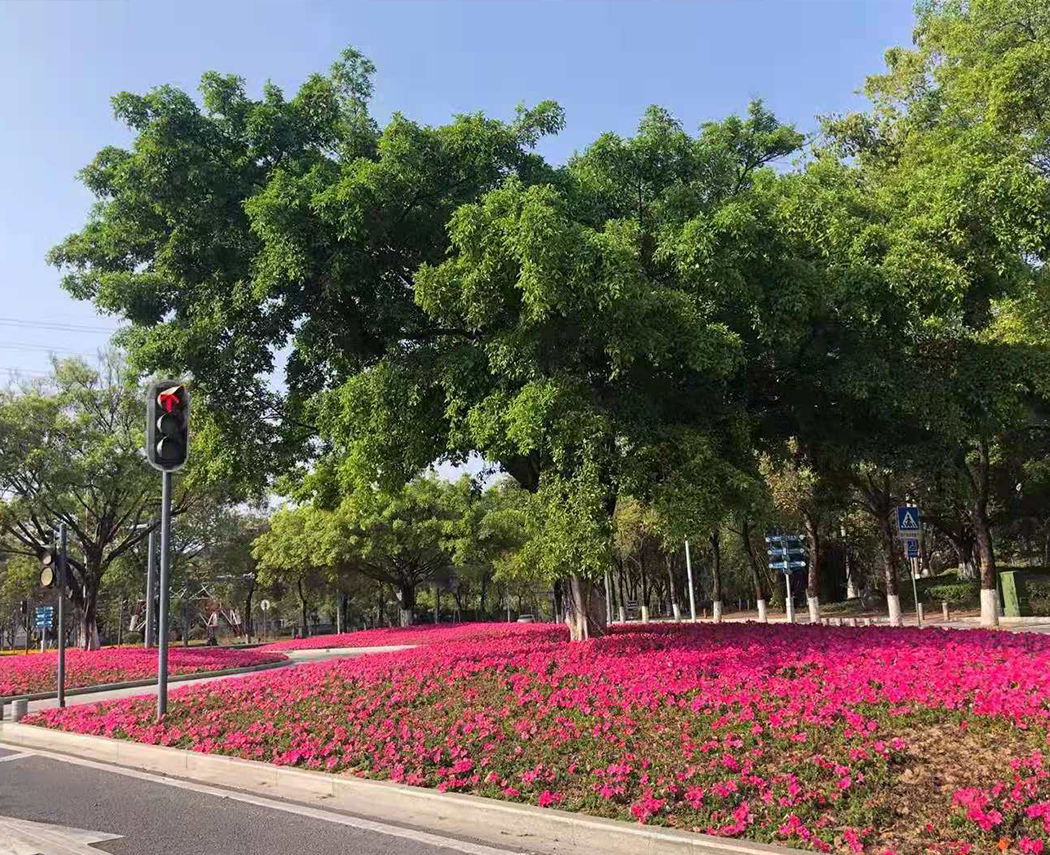 熱之源科技2021年開工啦！??！